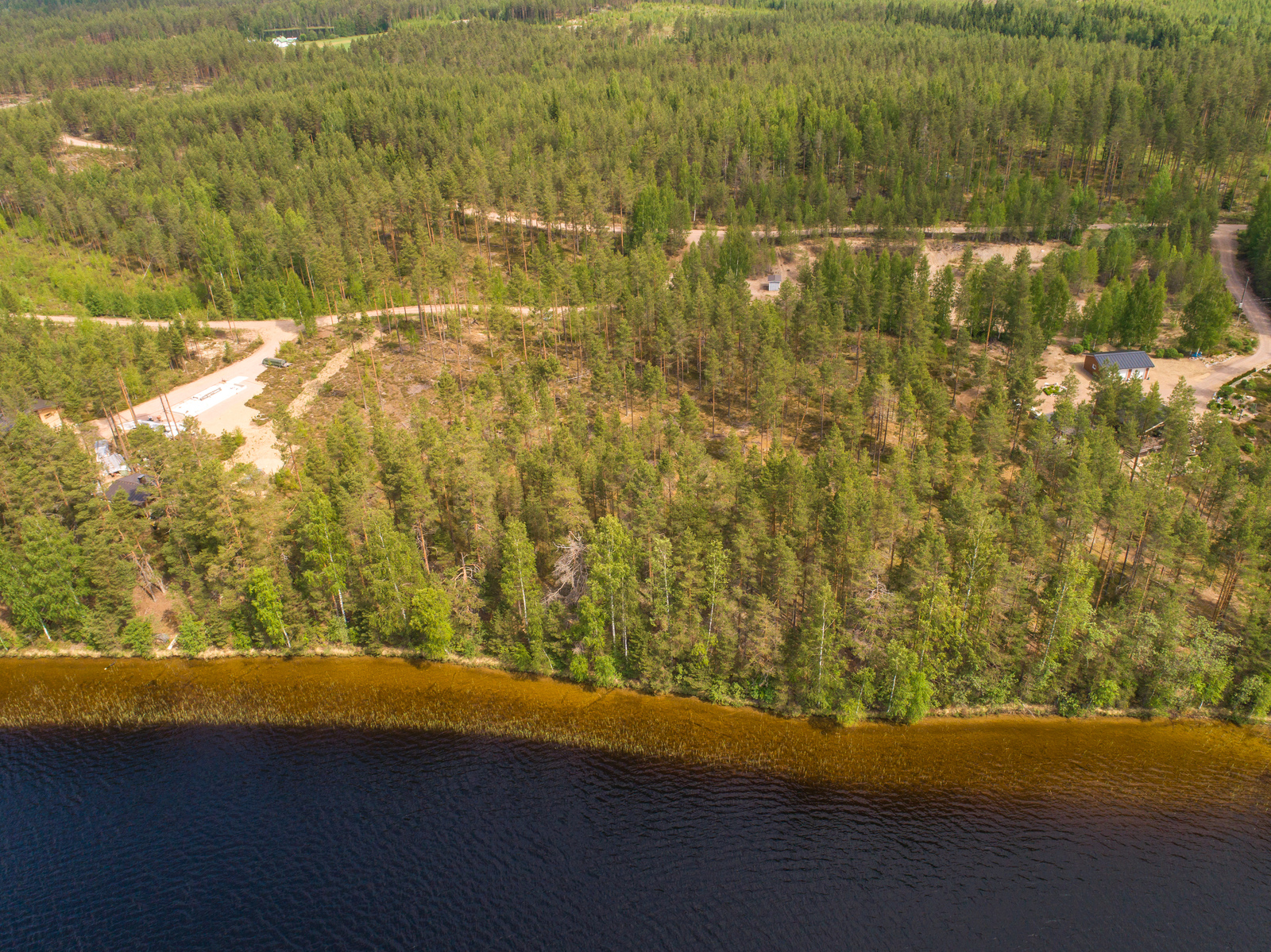 Kesäinen mäntyvaltainen metsä reunustaa järveä. Lähellä rantaa on rakennuksia. Ilmakuva.