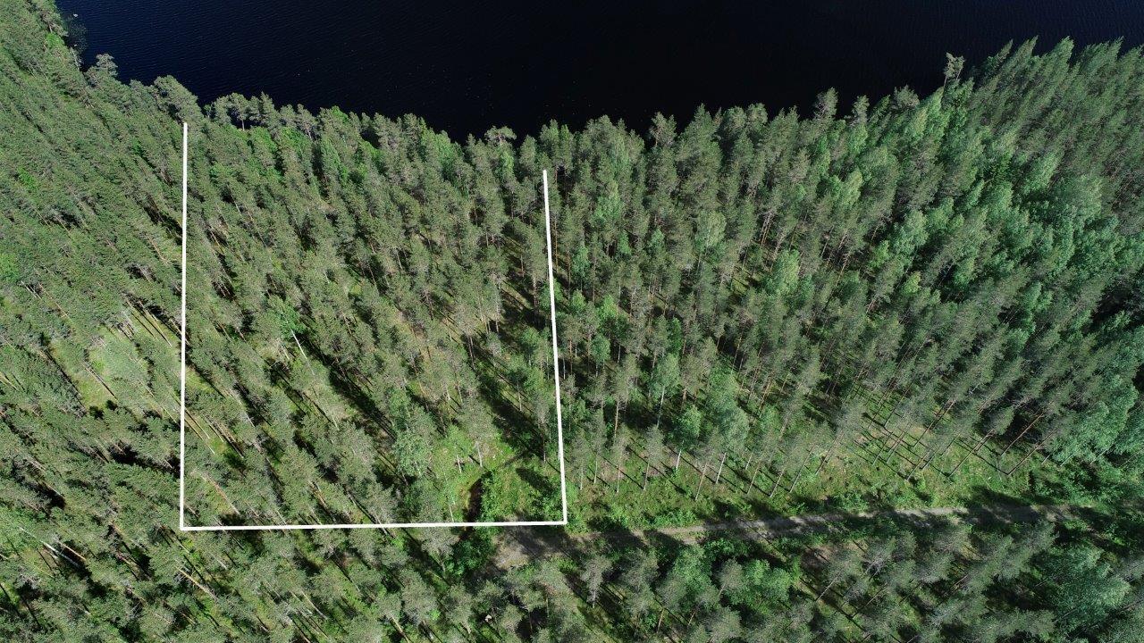 Tontin kaava piirrettynä kesäisen metsän ylle järven rantaan. Tie vie tontille. Ilmakuva.
