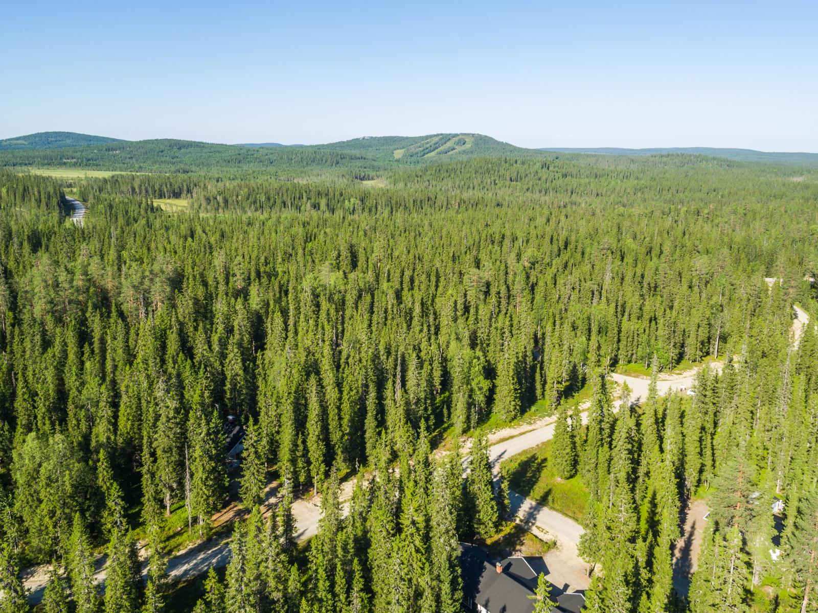 Mökkitie kulkee kesäisessä havumetsässä. Horisontissa kohoaa tunturi ja laskettelurinteet. Ilmakuva.