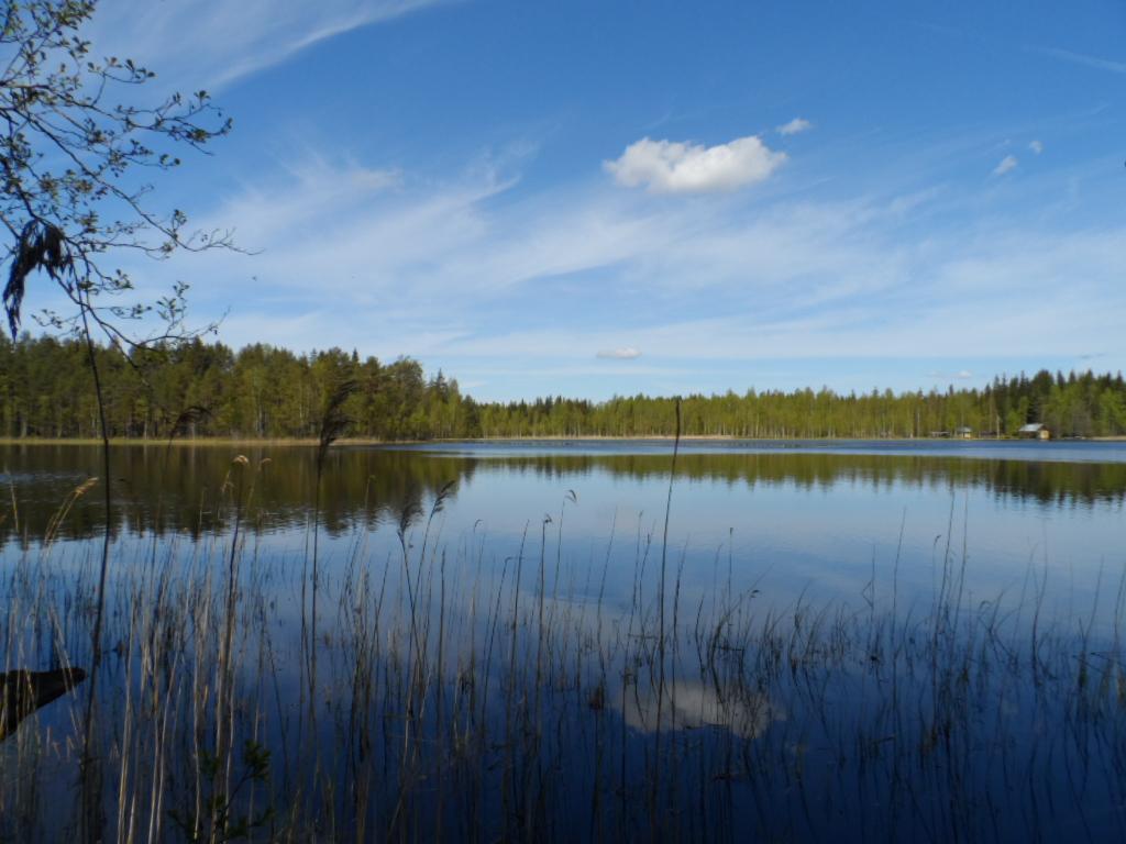 Järvimaisemassa puolipilvinen taivas ja vastarannan metsä heijastuvat veteen. Etualalla vesikasveja.