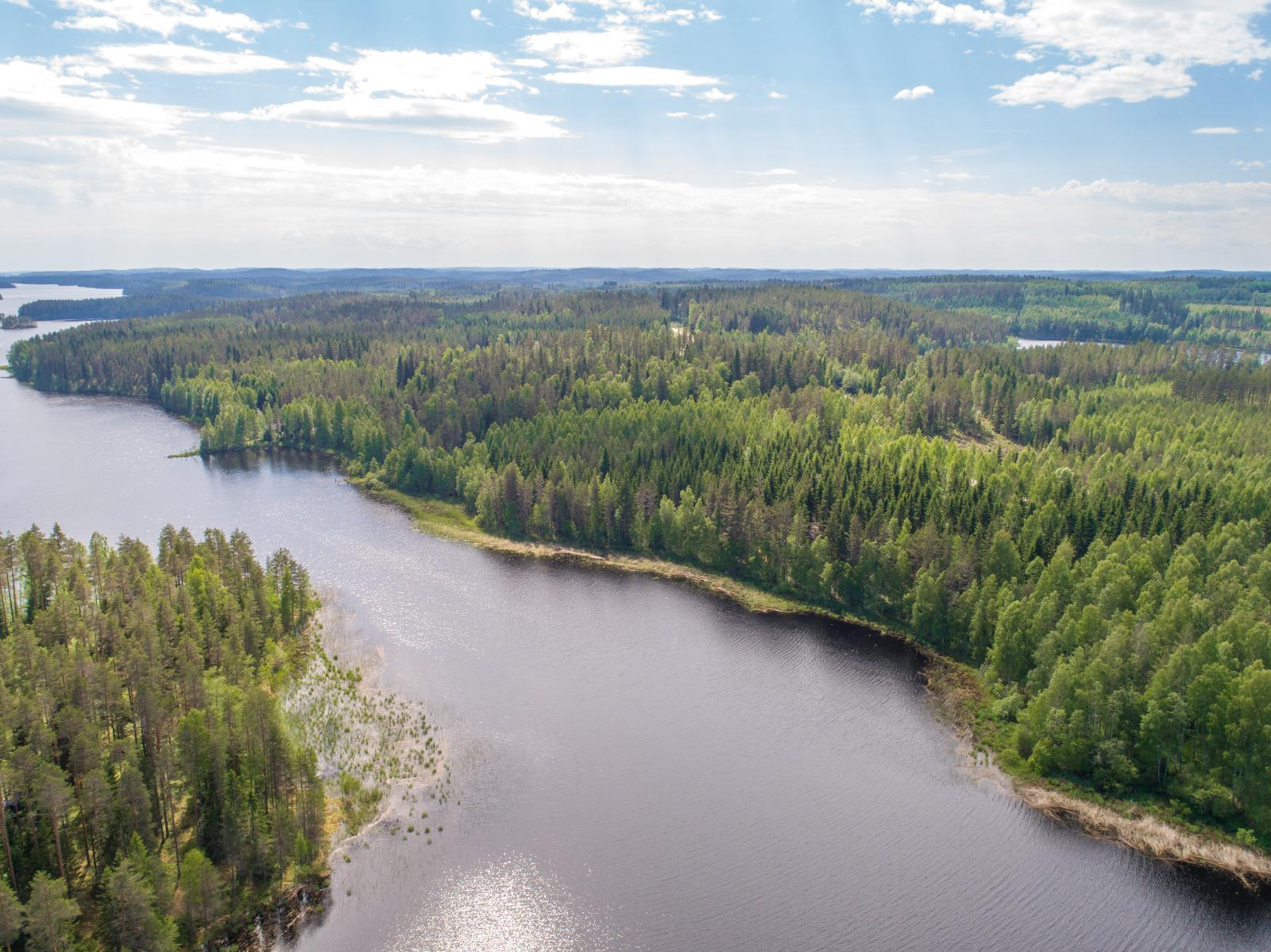 Metsät reunustavat horisonttiin jatkuvaa pitkulaista järveä. Ilmakuva.