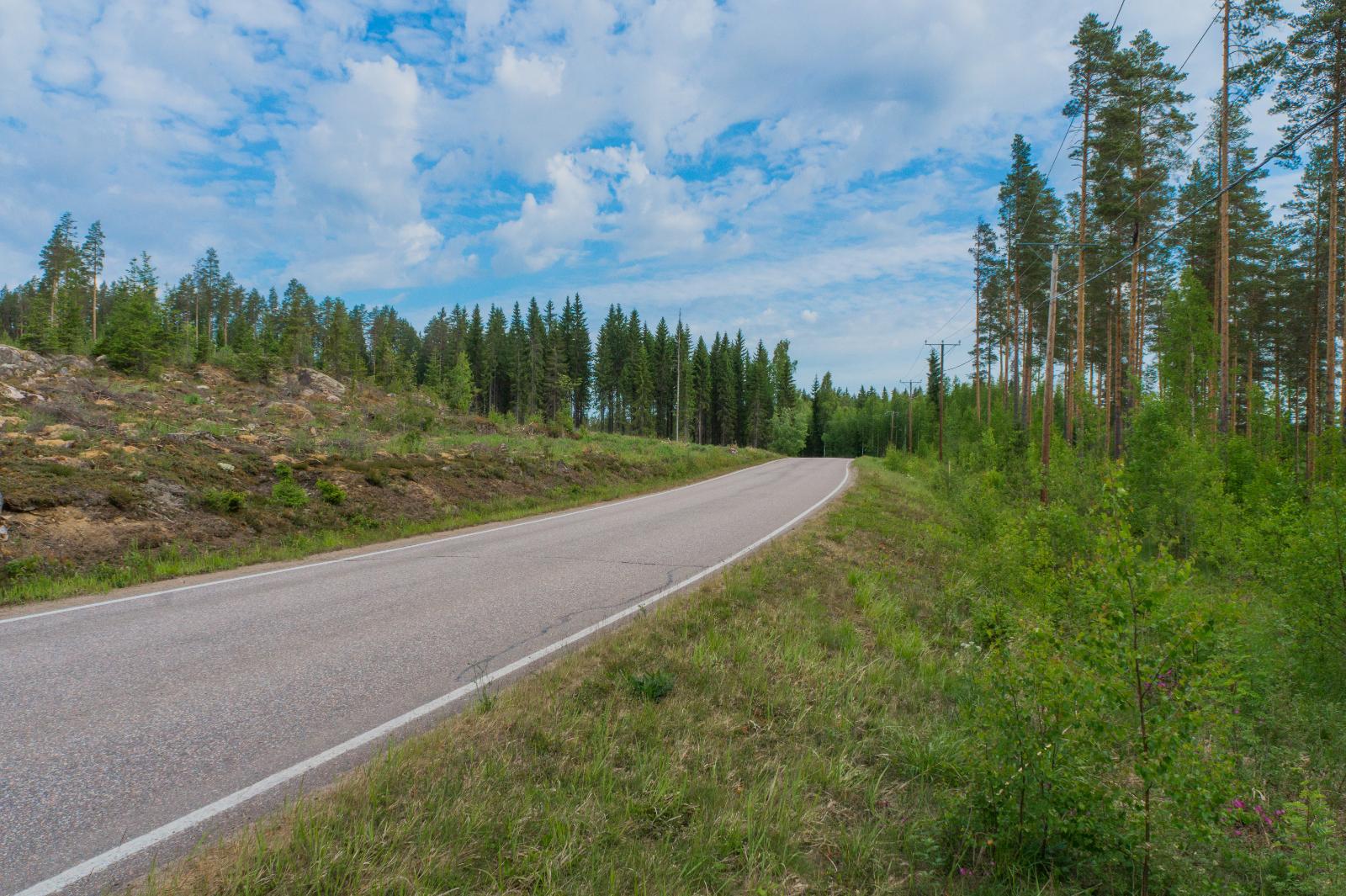 Asfaltoitu tie kulkee kesäisessä havumetsässä. Tien vasemmalla puolella on hakkuuaukea.
