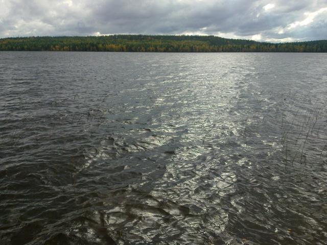 Näkymä tontilta järvelle