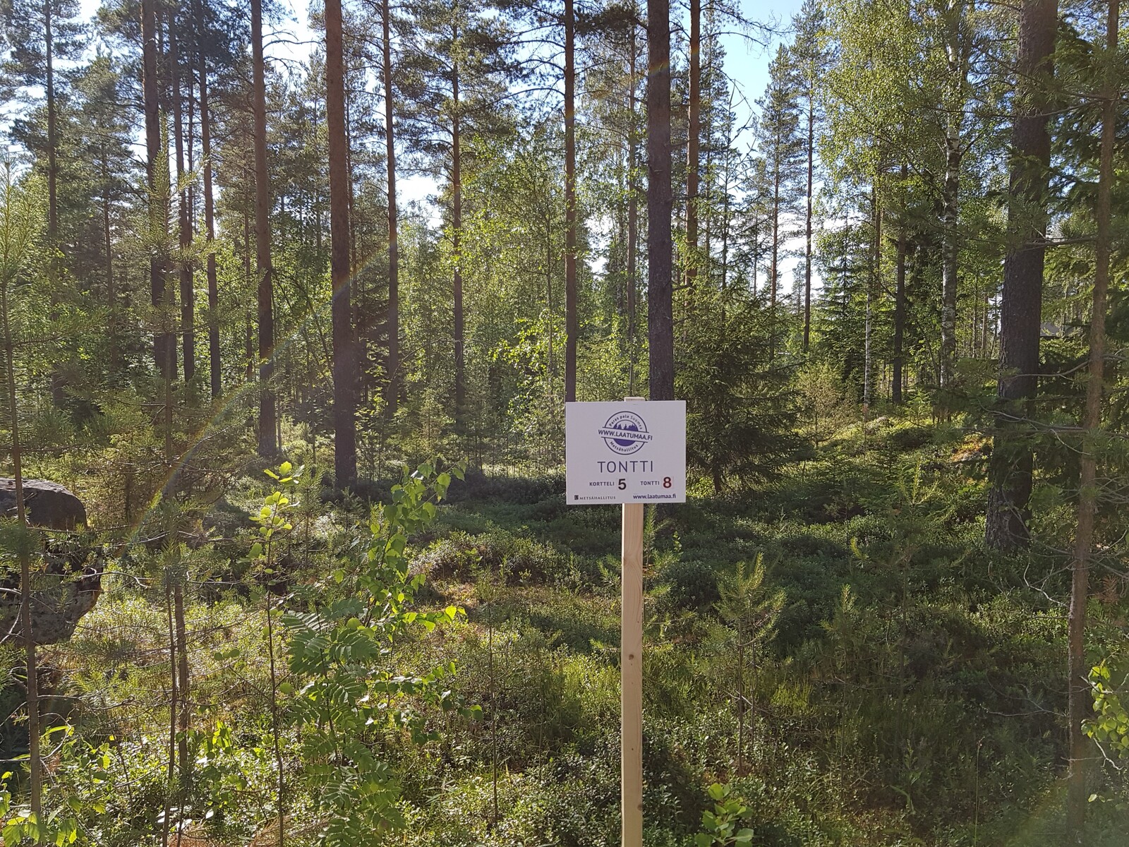 Kesäisen aurinkoisessa sekametsässä on Laatumaan tonttikyltti. Maassa on mättäitä ja kiviä.