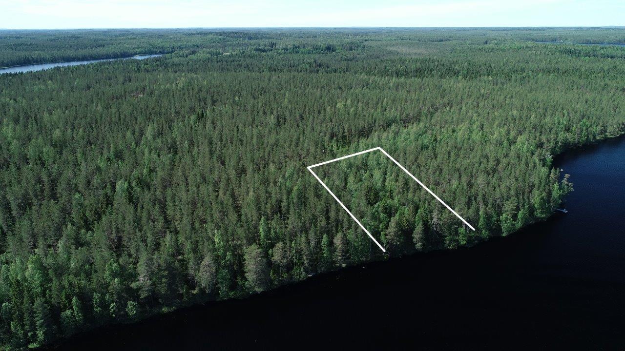 Tontin kaava piirrettynä kesäisen metsän ylle järven rantaan. Metsä jatkuu horisonttiin. Ilmakuva.