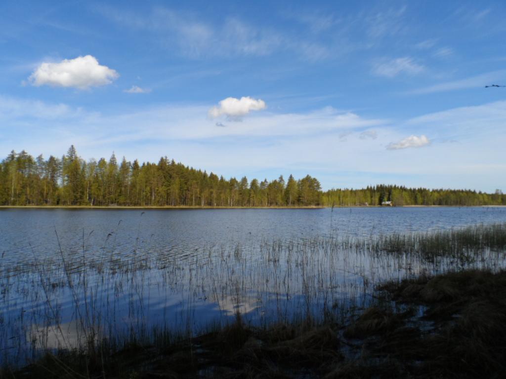 Järvimaisemassa puolipilvinen taivas heijastuu veteen. Etualan rantavedessä on vesikasveja.