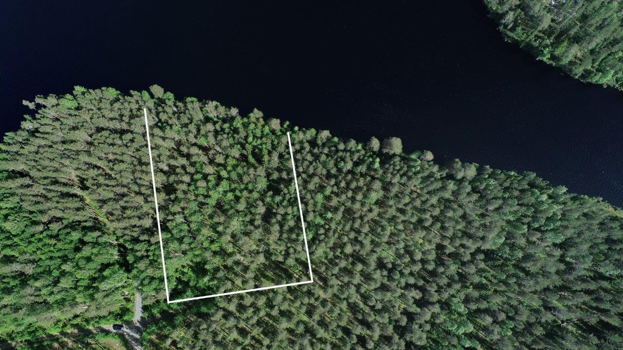 Tontin kaava piirrettynä kesäisen metsän ylle järven rantaan. Ilmakuva.
