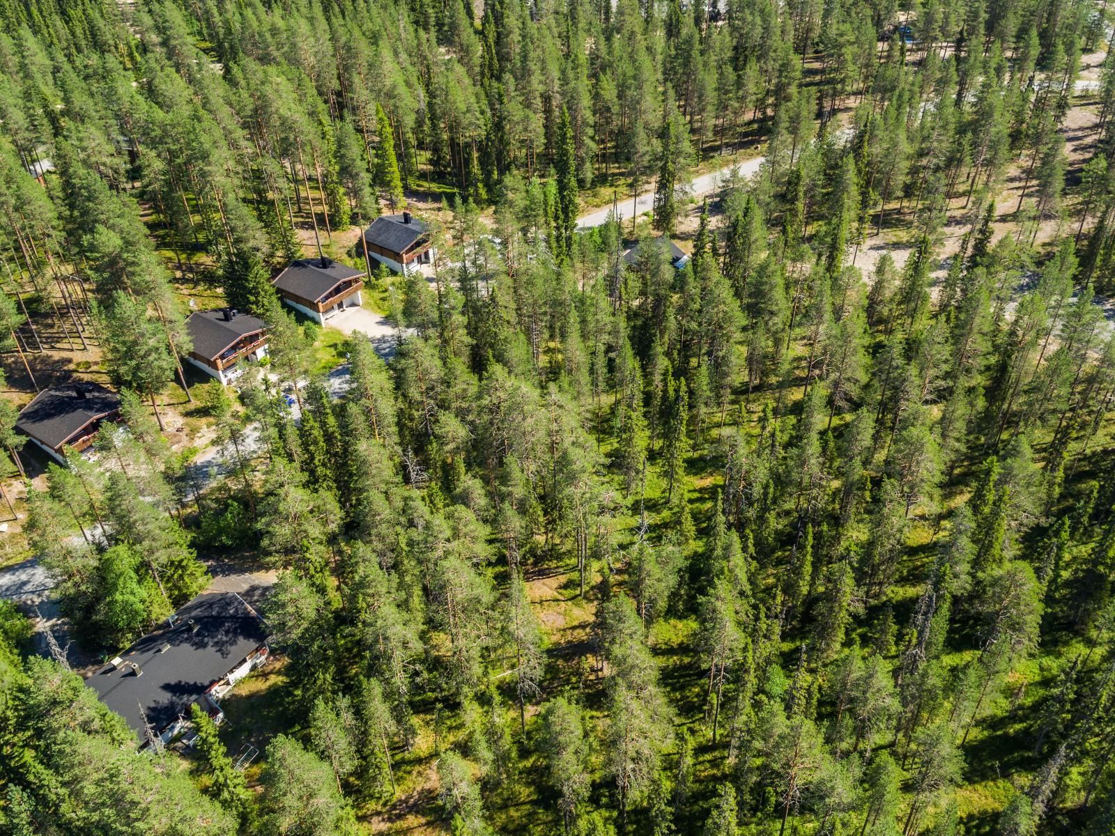 Kesäinen ilmakuva tonttialueesta, Muutamalle tontille on jo rakennettu.