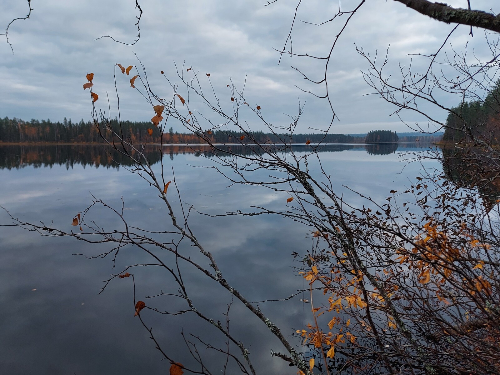Syksyinen sekametsä reunustaa järveä, jonka tyyneen pintaan heijastuu pilvinen taivas.