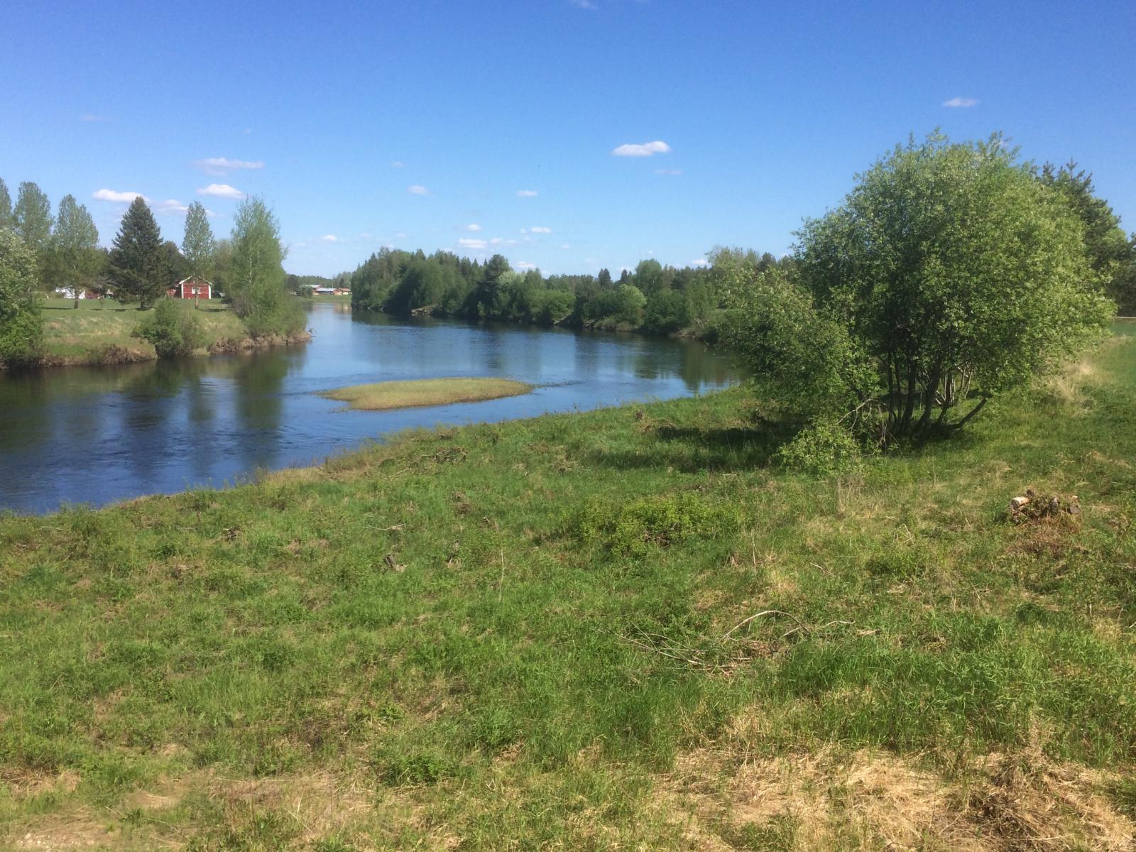 Kesämaisemassa joki tekee mutkan peltojen ja sekametsien keskellä. Rannalla on rakennuksia.
