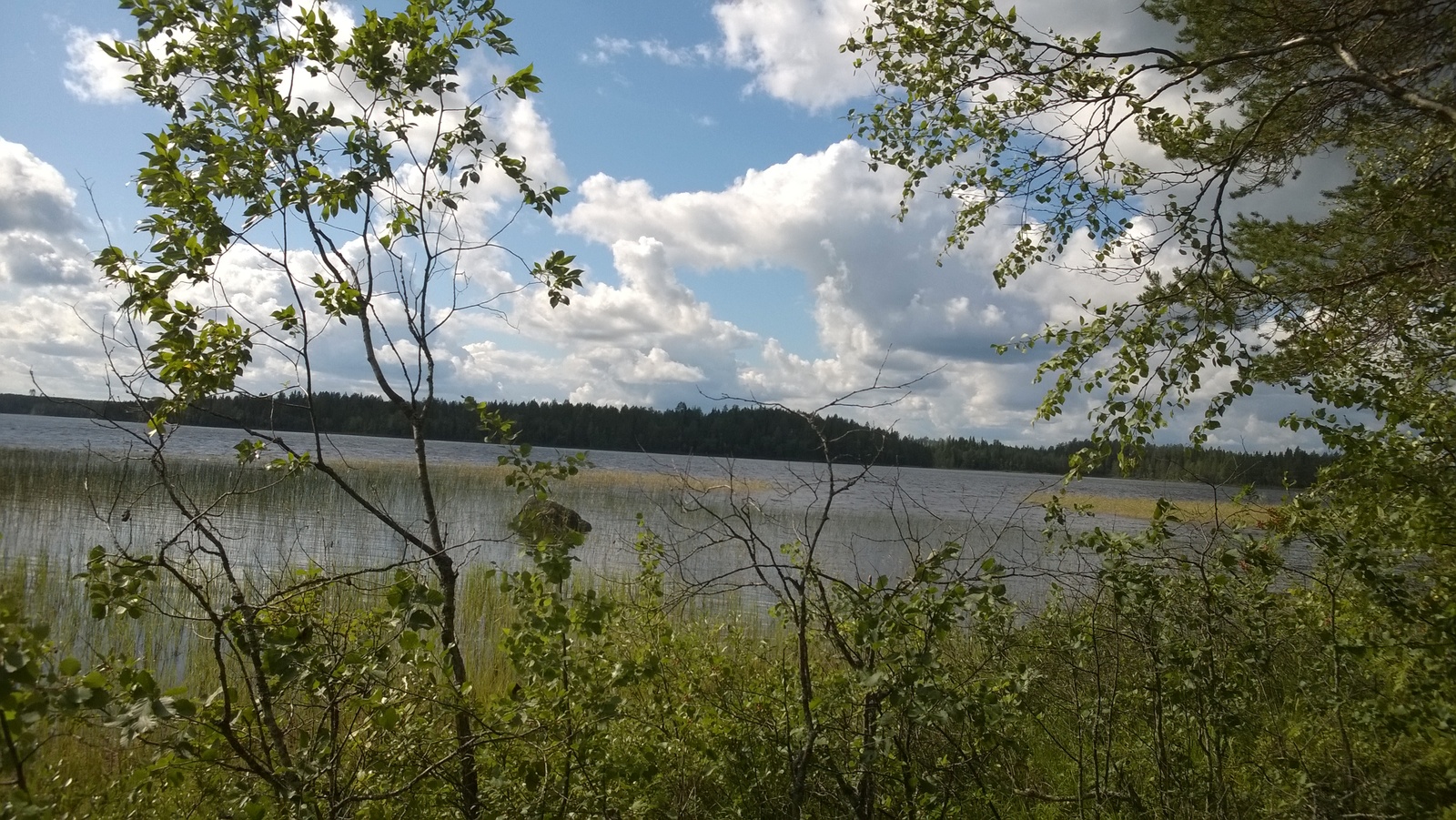 Rannan lehtipuut reunustavat kesäistä järvimaisemaa. Taivas on puolipilvinen.