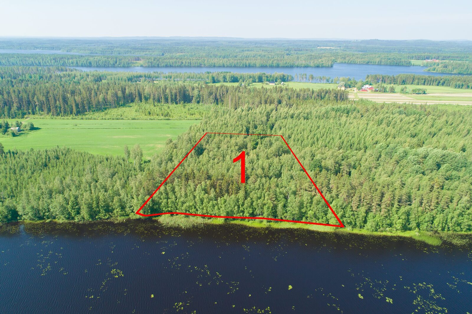 Ilmakuva jossa näkyy metsäistä rantaa