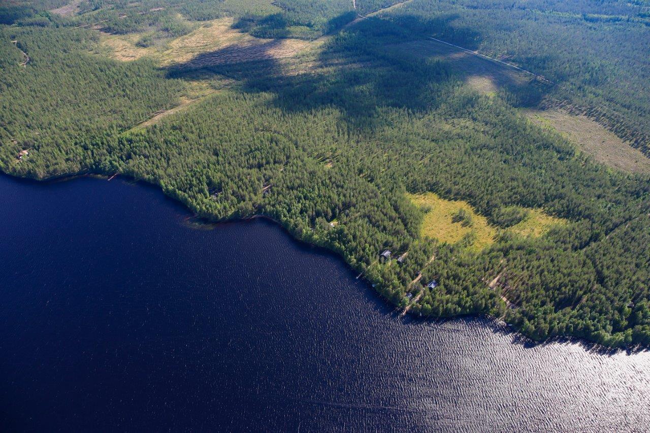 Ilmakuva jossa näkyy tummansininen järvi, rannalla on metsää ja metsässä näkyy hakkuuaukeita.