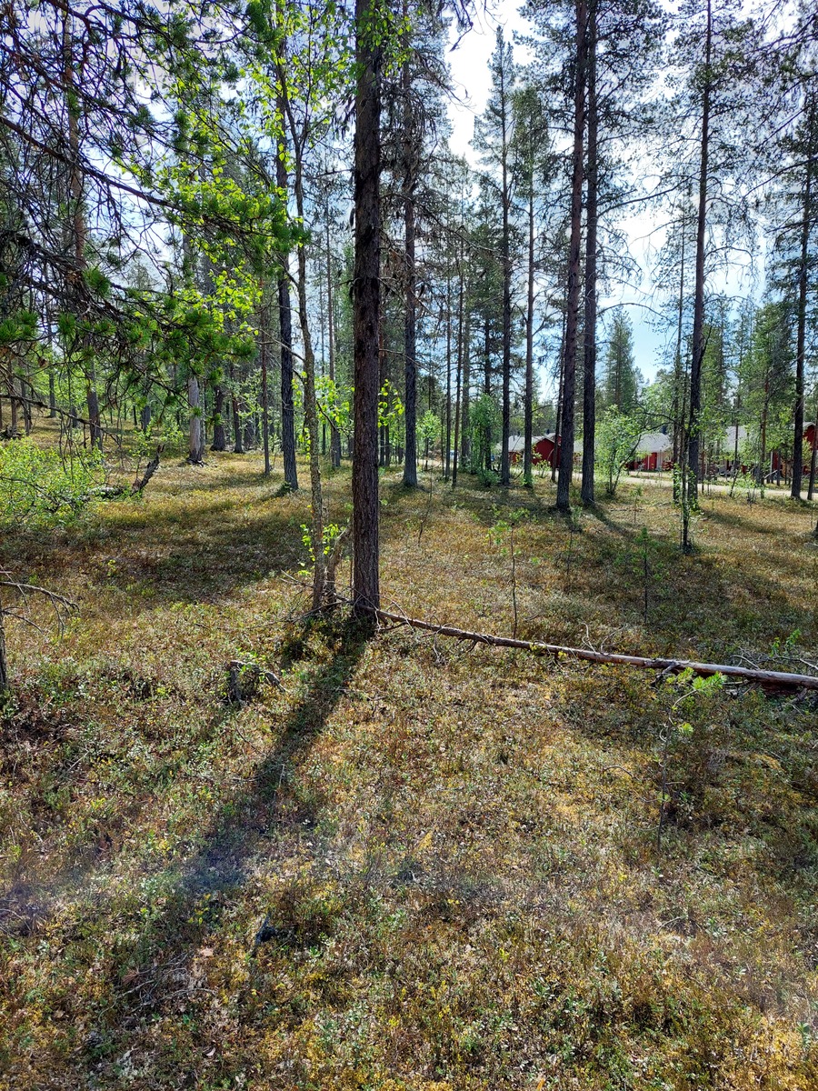 Kuva tontilta Asentopolulle