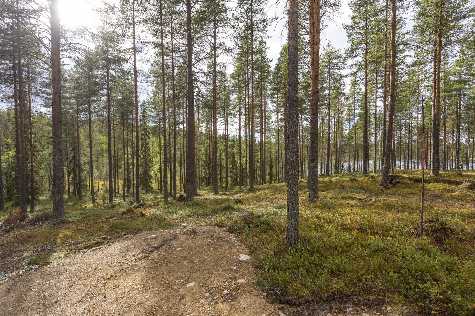 Kuva kaavatieltä kohteelle