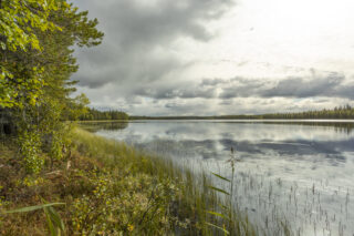 Kuvan rannasta järvelle
