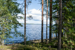 Maisema järvelle tontin rannasta, rannassa kivikkoa. Varttuneita mäntyjä kasvaa oikealla.