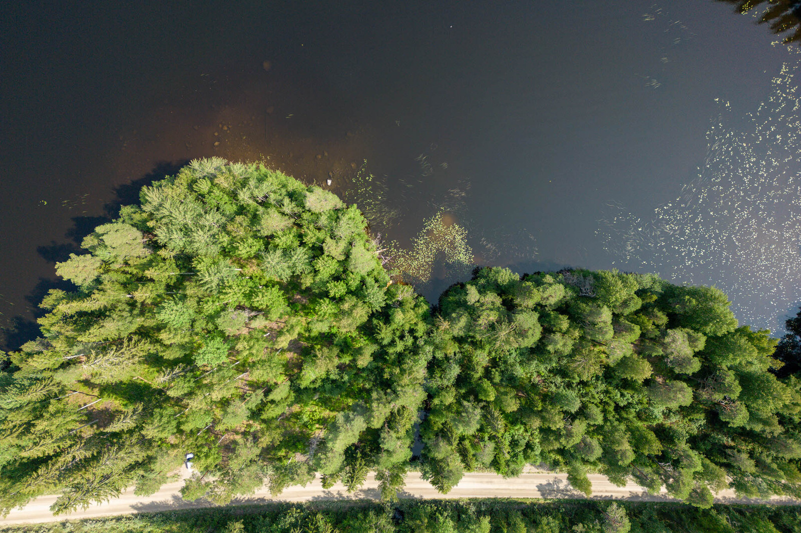 Tontit suoraan ylhäältä kuvattuna, rantavesi on niin kirkasta, että hiekkapohjan näkee.