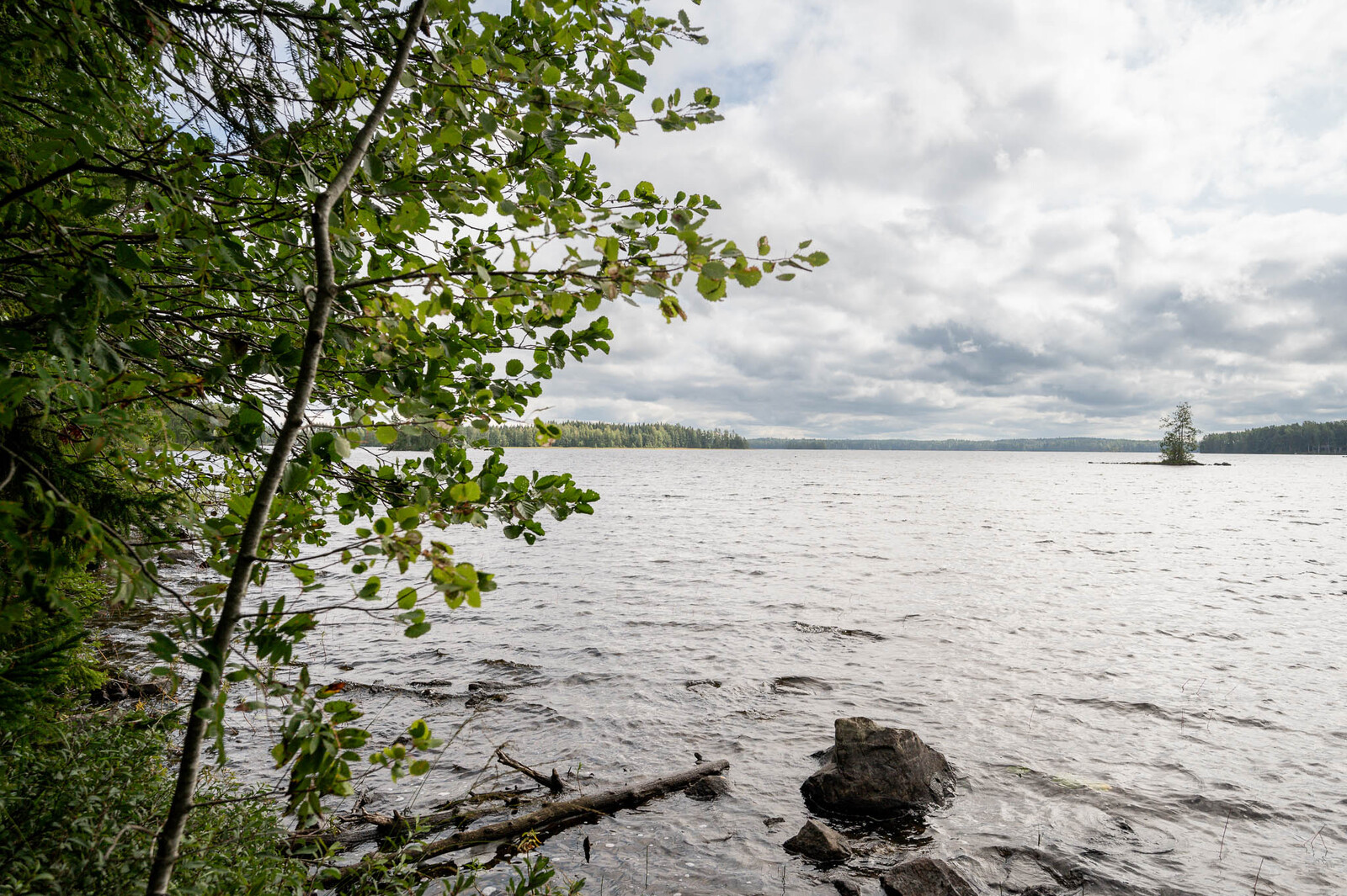 Maisema ulapalle. Rantavedessä näkyy kivi ja puun oksia.