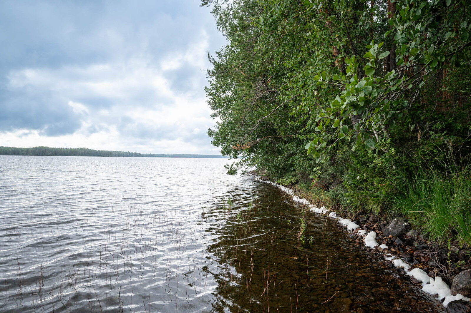 Kivistä rantaviivaa, järven aallot ovat tehneet rantaviivaan vaahtoa. Mantereella kasvaa lehtipuita.