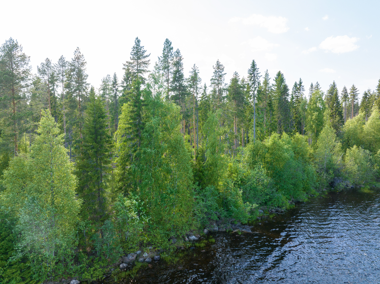 Ilmakuvassa näkyy järven rantaa tontin kohdalta, rannassa kasvaa lehtipuustoa.