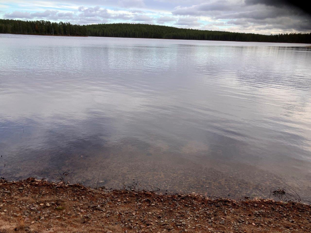 Järven rantaa