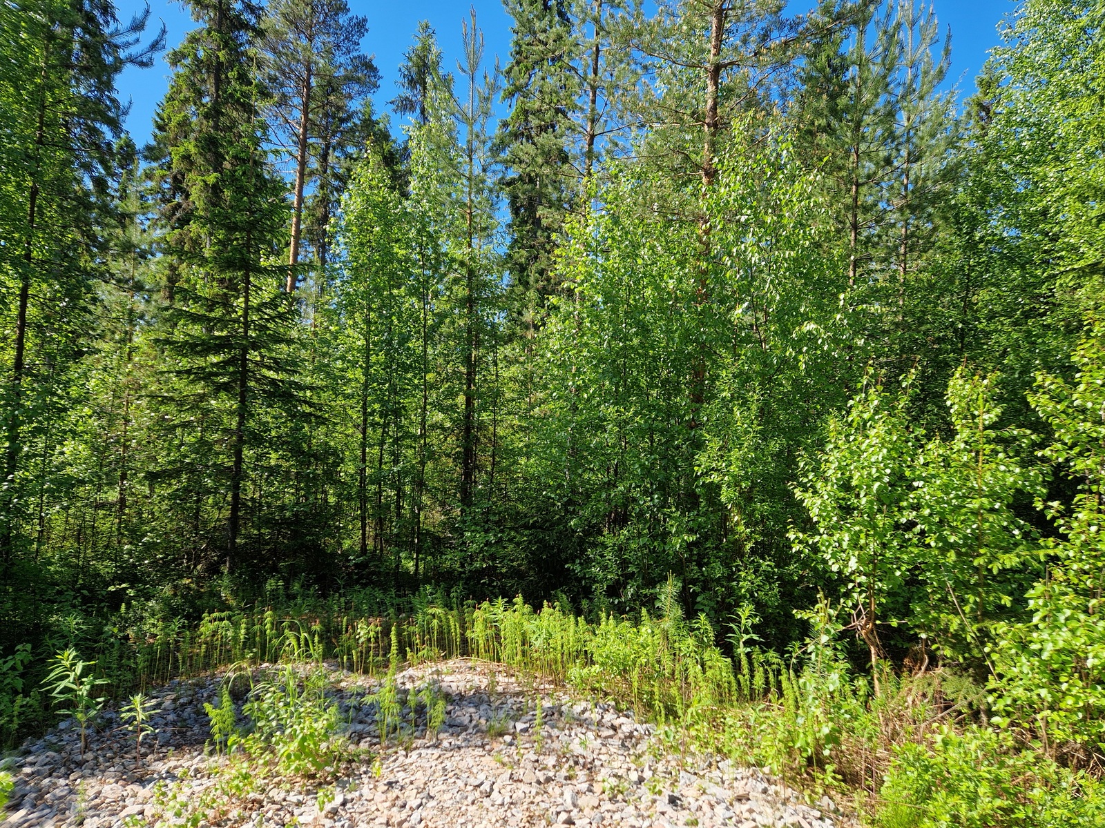 Tontin takamaasto, tonttiliittymä