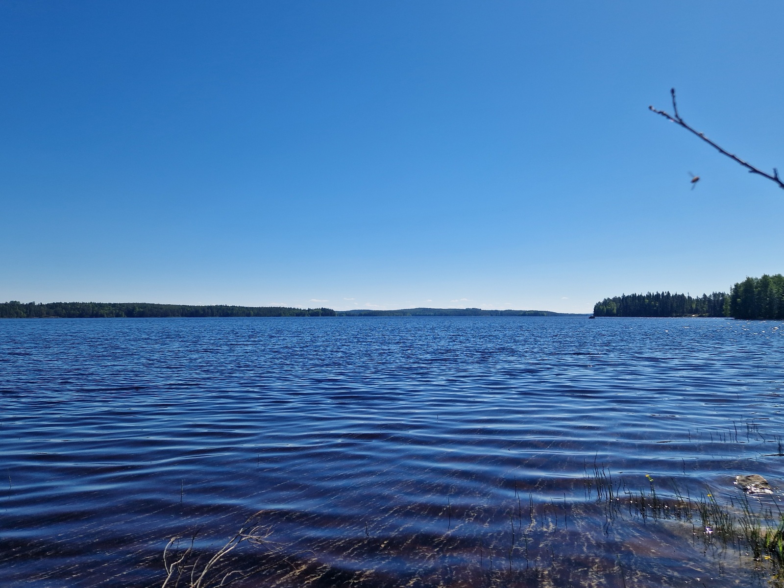 Järven vastaranta näkyy kaukana.
