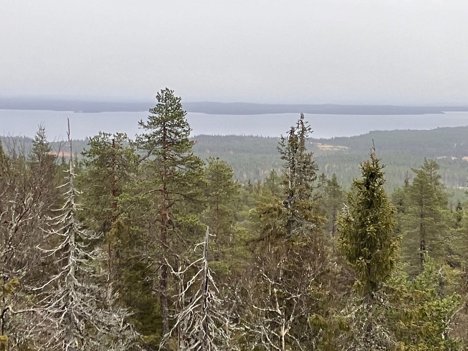 kaukomaisemassa järvenselkä