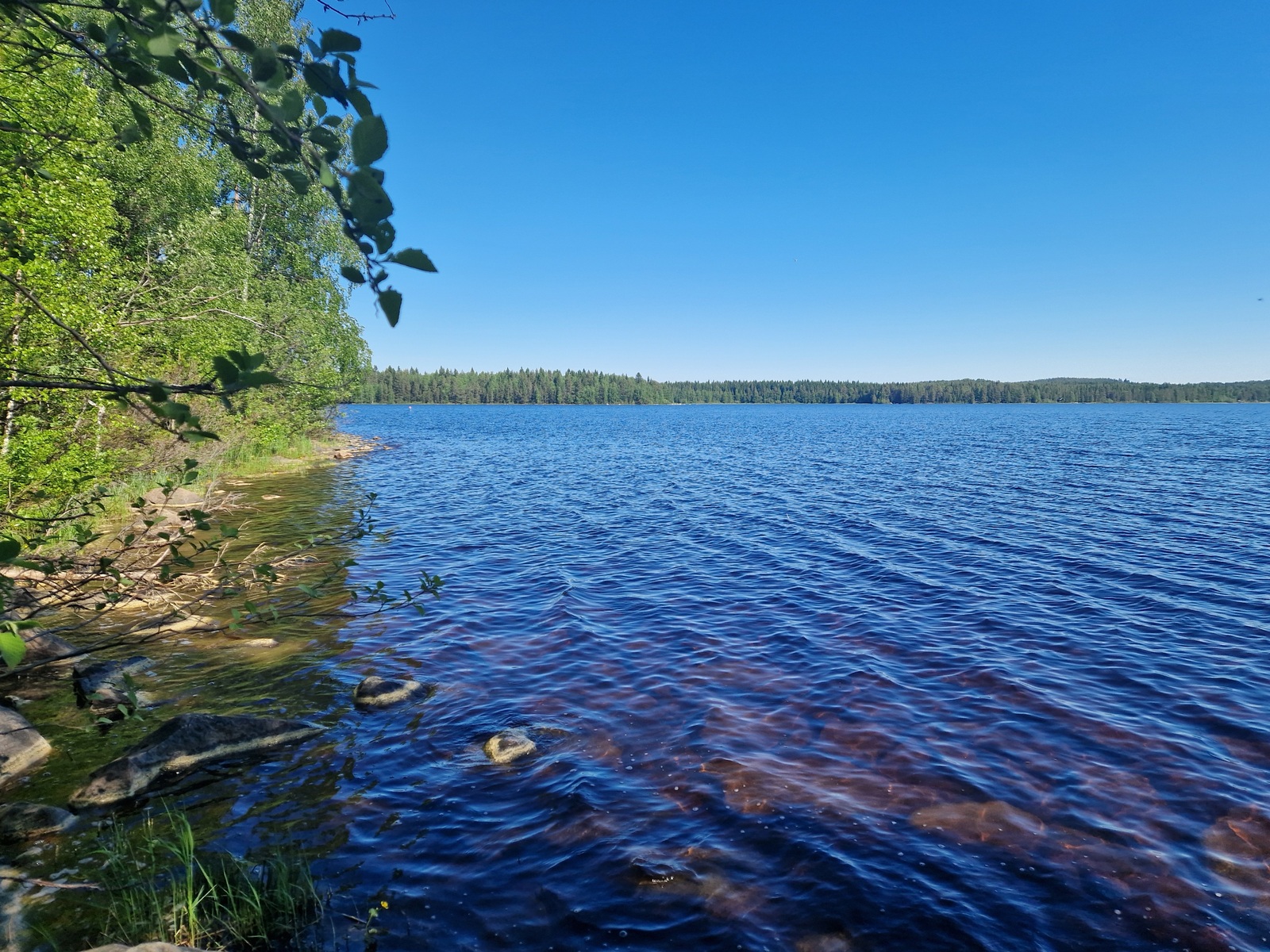 Kuvassa näkyy rantaviivaa, kiviä ja lehtipuustoa.