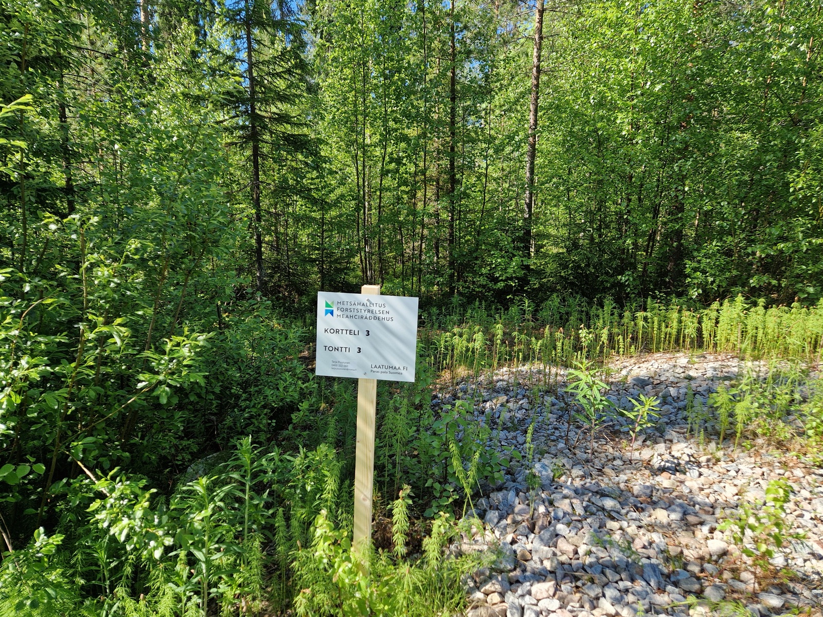 Tontin takamaasto, tonttiliittymä ja tonttitaulu näkyy kuvassa.