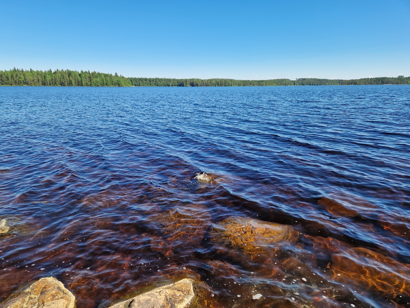 Kuvassa näkyy rantakiviä ja vastarantaa.