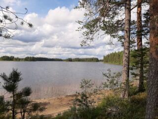 Männyt reunustavat hiekkarantaista järveä. Taivaalla on poutapilviä.