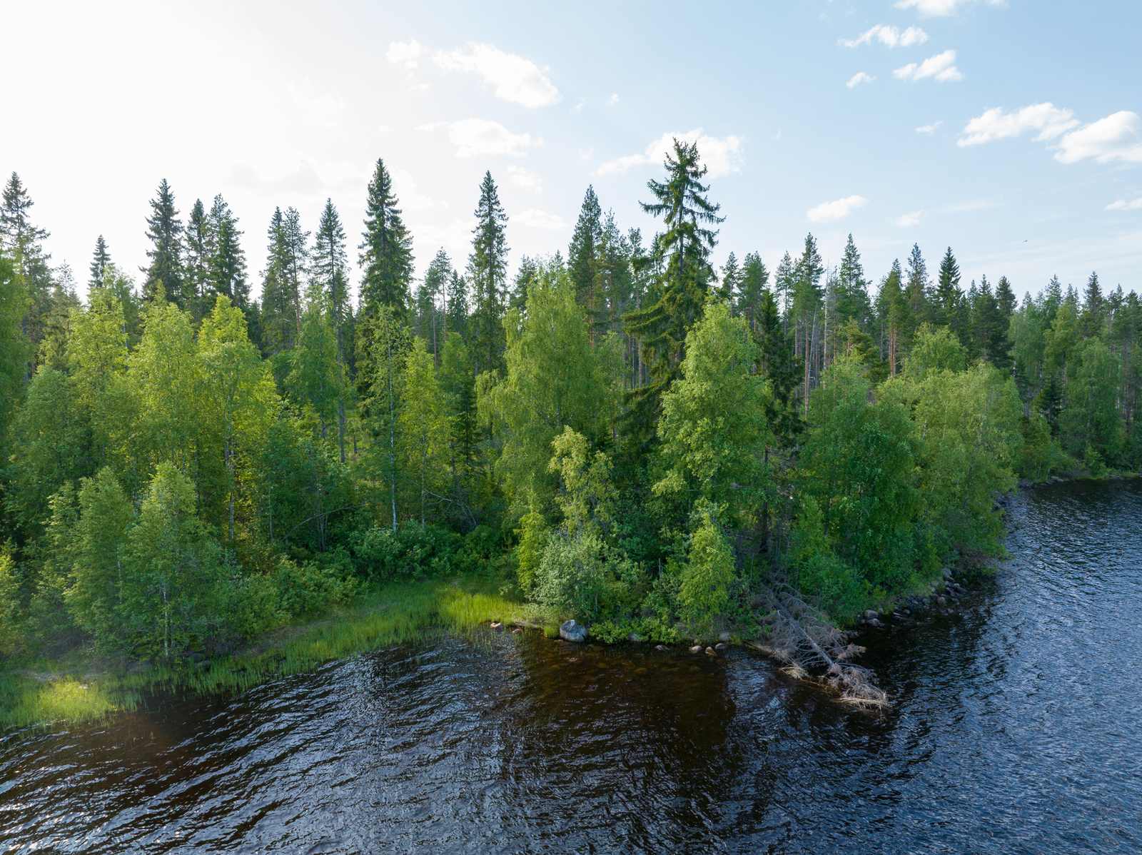 Ilmauvassa näkyy järven rantaa tontin kohdalta, rannassa kasvaa lehtipuustoa.