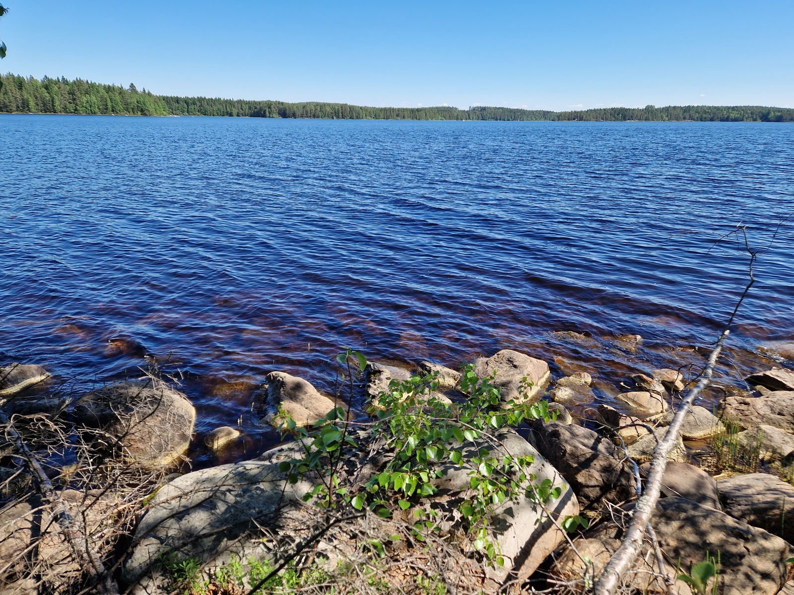 Järven rannat kivet.