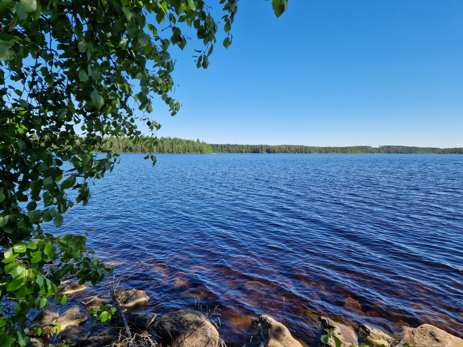 Rannassa on kiveä ja lehtipuustoa.