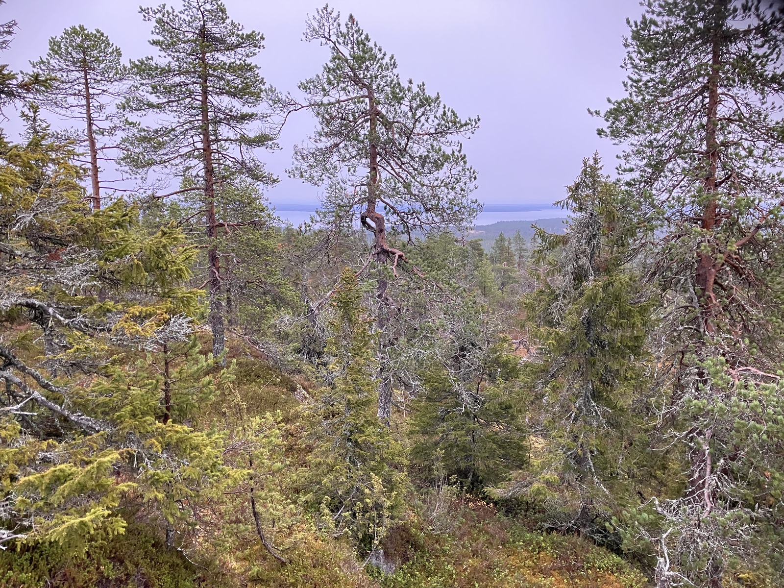 Vaaramaiseman takana järvi