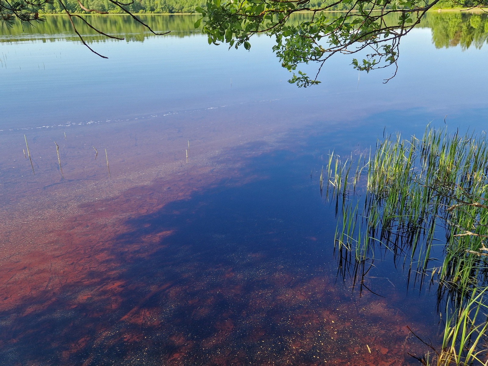 Järven pohja näkyy kuvassa, kirkas vesi