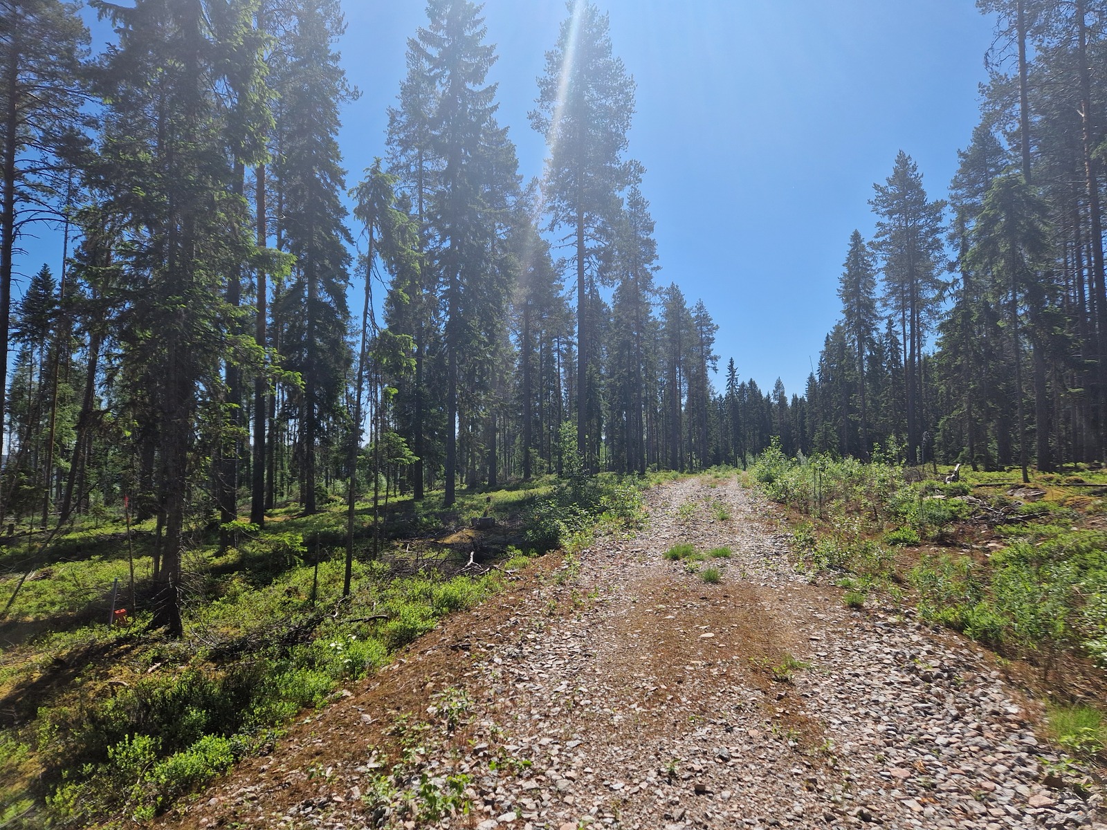 Tonttitie korttelissa 1.