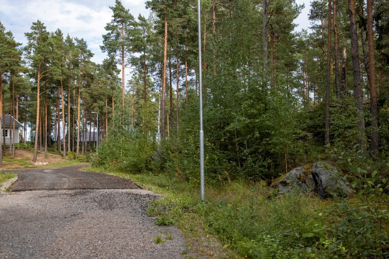 Ylämäkeen nousevan tien laidasta alkaa  laidasta alkaa kumpuilevan kallioinen mäntymetsä.Ylämäkeen n