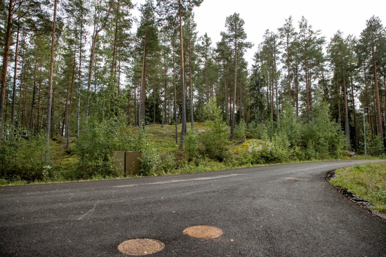Kadun laidasta alkaa  laidasta alkaa kumpuilevan kallioinen mäntymetsä.