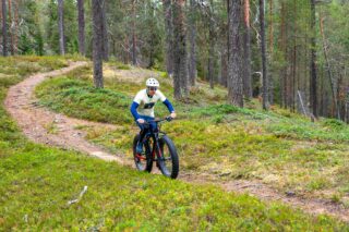 Henkilö polkee maastopyörällä mäntykankaalla.