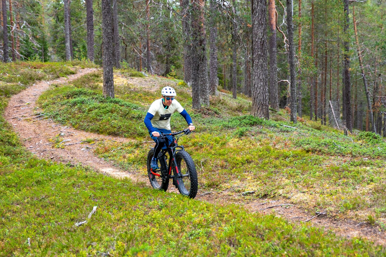 Henkilö polkee maastopyörällä mäntykankaalla.