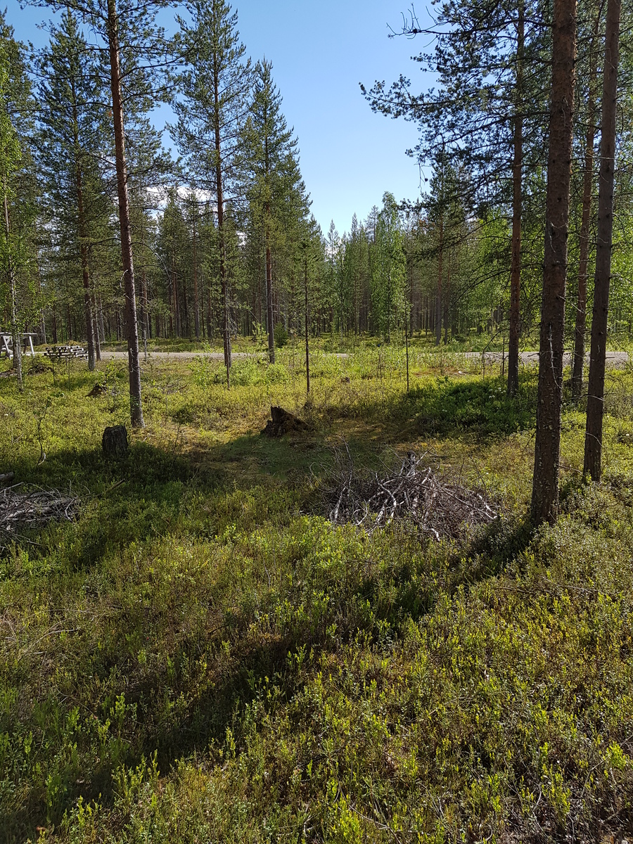 Avaran mäntymetsän takana kulkee tie, jonka reunalla on rakennustarvikkeita pinossa.