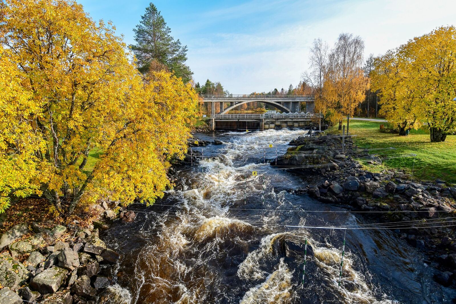 Kosken rannalla on ruskan keltaiseksi värjäämiä lehtipuita.