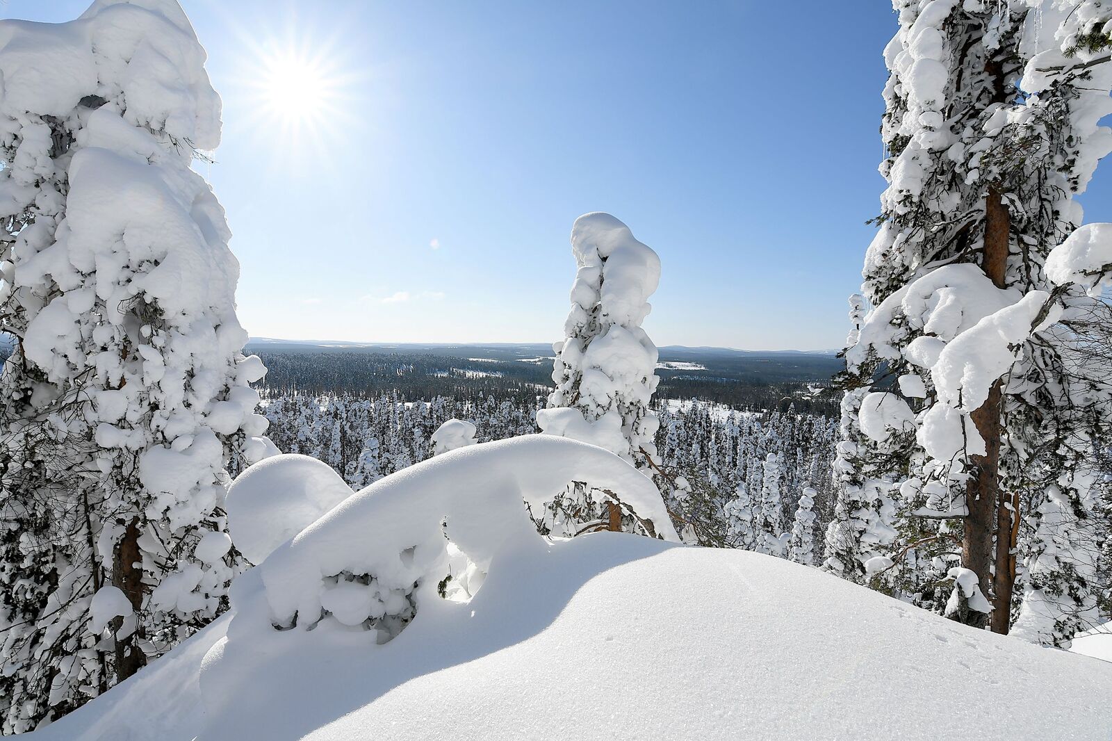 Talvinen vaaramaisema. Aurinko paistaa tykkylumipuiden välistä.