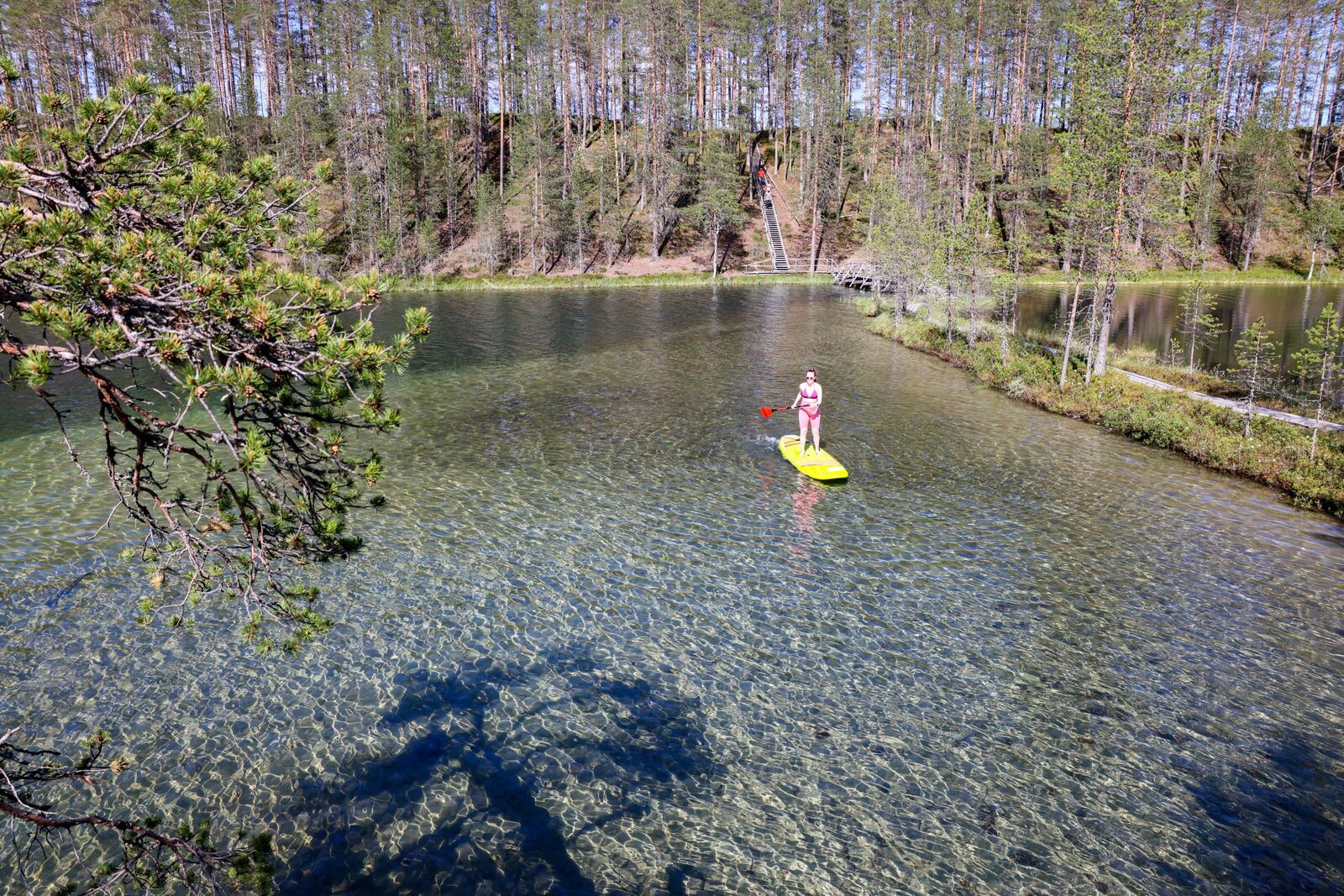 Henkilö seisoo sup-laudalla melomassa lammella.