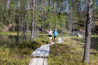 Kaksi henkilöä juoksee pitkospuilla aurinkoisena kesäpäivänä.