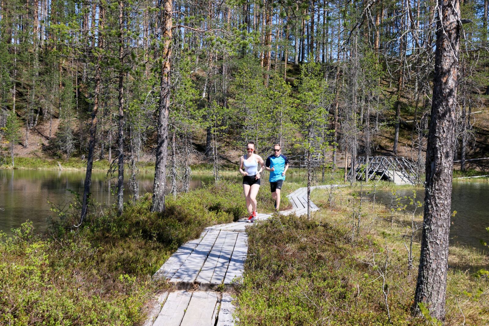 Kaksi henkilöä juoksee pitkospuilla aurinkoisena kesäpäivänä.
