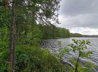Harmaita sadepilviä taivaalla järven yllä, mantereen puolella kasvaa mäntyjä ja varpuja.